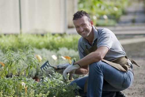 Gardener using hedge shears on an evergreen hedge